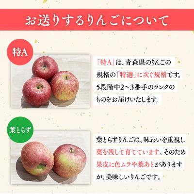 ふるさと納税 平川市 2月 サンふじりんご「特A」約3kg 糖度13度以上 【森山商店・平川市産・青森りんご・2月】 |  | 01