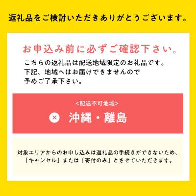 ふるさと納税 平川市 2月 サンふじりんご「特A」約3kg 糖度13度以上 【森山商店・平川市産・青森りんご・2月】 |  | 02