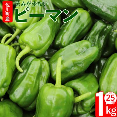 ふるさと納税 佐川町 &lt;2025年5月下旬以降発送&gt;事前受付中!!&lt;ピーマン&gt;1kg さらら 農副連携