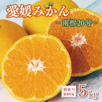 ふるさと納税 愛南町 先行受付 訳あり 愛媛みかん 南柑20号 5kg エニシトラス