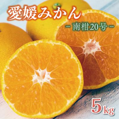 ふるさと納税 愛南町 先行受付 愛媛みかん 南柑20号 5kg 温州みかん 愛媛県 愛南町 エニシトラス