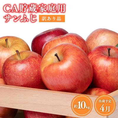 ふるさと納税 平川市 4月 訳ありCA貯蔵 サンふじ 約10kg
