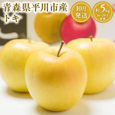 ふるさと納税 平川市 10月 トキ約5kg [JA津軽みらい・平川市産・青森りんご]