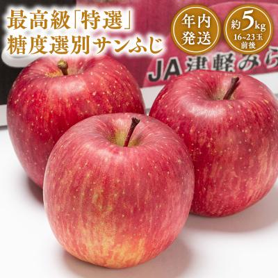ふるさと納税 平川市 年内 最高級「特選」 糖度選別サンふじ 約5kg [JA津軽みらい・平川市産・青森りんご・12月]