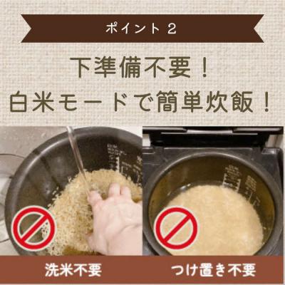 ふるさと納税 出雲市 もちもち玄米【ぷちっともち玄米】洗米・つけ置き