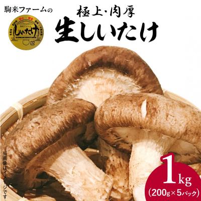 ふるさと納税 小牧市 駒来ファームの 極上・肉厚 生しいたけ(生シイタケ/生椎茸/きのこ) [131L01]