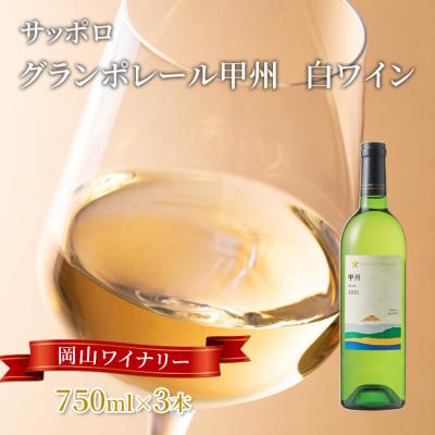 ふるさと納税 赤磐市 サッポロ グランポレール 甲州 白ワイン 750ml 3本 セット [NO5765-1106]