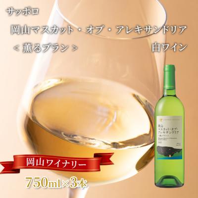 ふるさと納税 赤磐市 グランポレール 薫るブラン 白ワイン 750ml 3本[NO5765-1111]