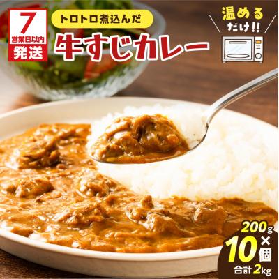 ふるさと納税 鹿児島市 [7営業日以内に発送]牛すじカレー 2kg