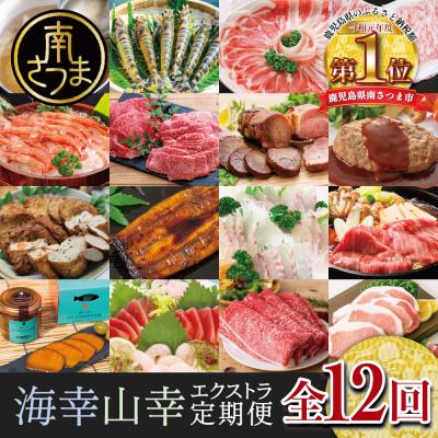 ふるさと納税 南さつま市 海幸山幸エクストラ定期便(全12回) ハンバーグ 刺身 しゃぶしゃぶ すき焼き マグロ 牛肉 豚肉