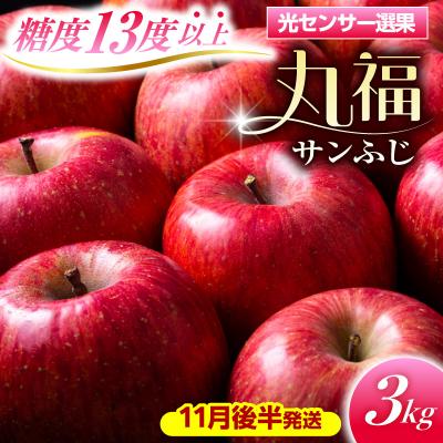 ふるさと納税 五所川原市 [11月後半発送] りんご 約3kg 丸福 サンふじ 光センサー選果 糖度13度以上 青森