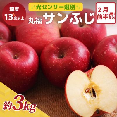 ふるさと納税 五所川原市 りんご サンふじ 約3kg 2月前半発送 光センサー 選果 糖度13度以上 丸福 青森 リンゴ