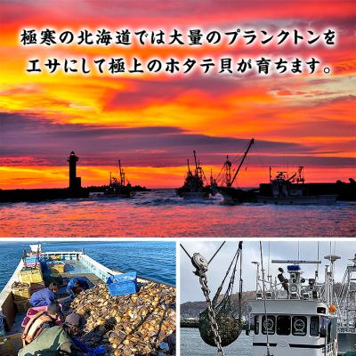 ふるさと納税 紋別市 【甲羅組】【訳あり】ほたて貝柱 1kg【欠け/サイズ不揃い】の画像