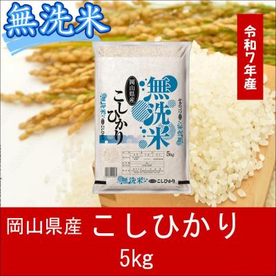 ふるさと納税 和気町 お米 [無洗米]岡山県産こしひかり100%(令和7年産)5kg oo-135