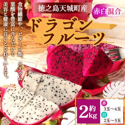 ふるさと納税 天城町 [2026年発送分]ご家庭用 徳之島 天城町産ドラゴンフルーツ 赤白混合 約2kg