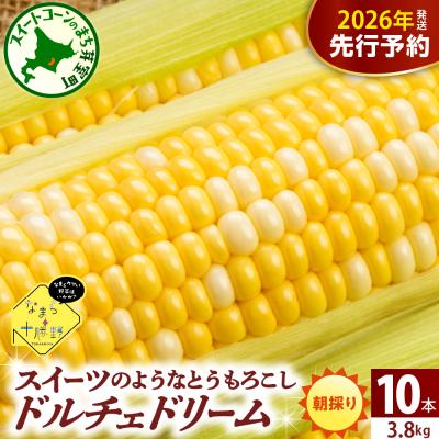 ふるさと納税 芽室町 [先行受付]北海道十勝芽室町 スイートコーンドルチェドリーム10本 me001-043c-26