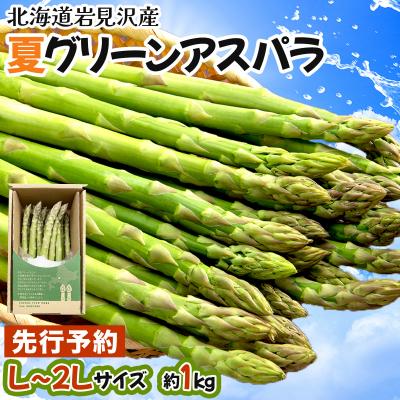 ふるさと納税 岩見沢市 [先行受付/令和8年産]北海道岩見沢産 夏グリーンアスパラ L〜2Lサイズ 1kg