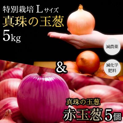 ふるさと納税 岩見沢市 真珠の玉葱 特別栽培Lサイズ5kg(赤玉葱5個入り)