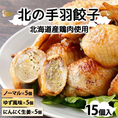 ふるさと納税 岩見沢市 北海道産鶏肉を使った手羽先餃子15個セット(5個×3袋)≪配送地域限定≫