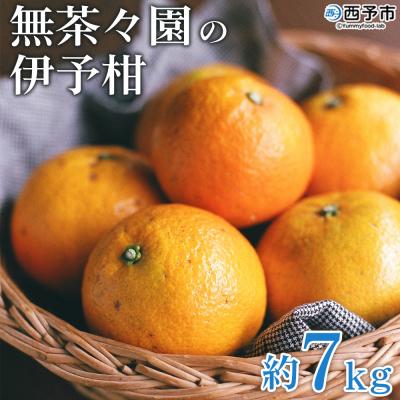 ふるさと納税 西予市 [先行予約]無茶々園の伊予柑 7kg
