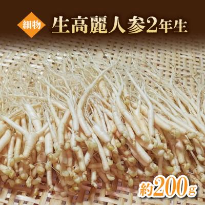 ふるさと納税 東御市 [栽培期間出来るだけ農薬を減らして作った 生高麗人参]2年生 細物 約200g 国産 朝鮮人参