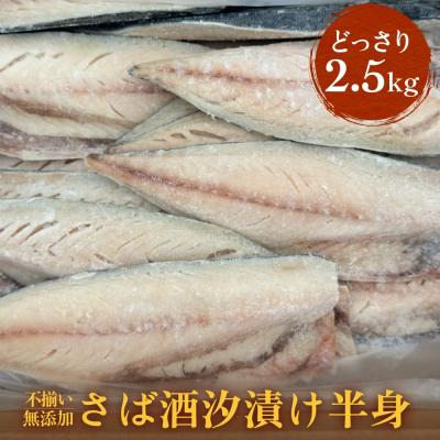 ふるさと納税 石巻市 不揃い 訳あり無添加さば酒汐漬け半身( どっさり 2.5kg ) サバ 鯖 冷凍 おかず 簡単調理
