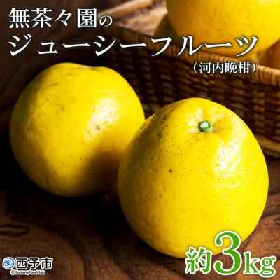 ふるさと納税 西予市 無茶々園のジューシーフルーツ(河内晩柑)約3kg 果物 フルーツ
