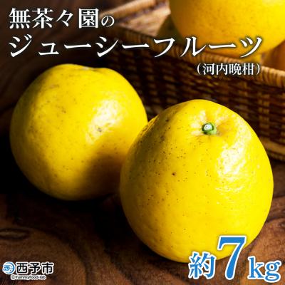 ふるさと納税 西予市 <無茶々園のジューシーフルーツ(河内晩柑)7kg> 果物 フルーツ 柑橘 愛媛 期間限定