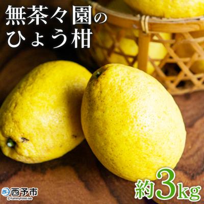 ふるさと納税 西予市 無茶々園のひょう柑 3kg 果物 みかん ミカン 蜜柑 柑橘 フルーツ