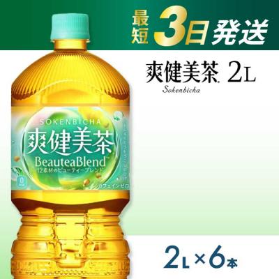ふるさと納税 三原市 爽健美茶 PET 2L×6本(1ケース) [014-062]