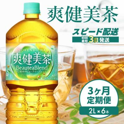 ふるさと納税 三原市 [定期便3か月]爽健美茶2L PET 6本セット(1ケース) [014-064]