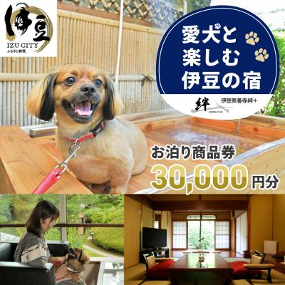 ふるさと納税 伊豆市 修善寺温泉 修善寺絆+ 愛犬と一緒にお泊り 商品券 30,000円分