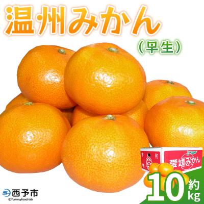 ふるさと納税 西予市 &lt;温州みかん(早生)約10kg&gt; 果物 フルーツ みかん ミカン 蜜柑 オレンジ 柑橘