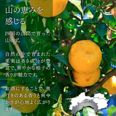 ふるさと納税 佐川町 司牡丹酒造 山柚子搾り ゆずの酒 1800ml×1本 【リキュール】 |  | 02