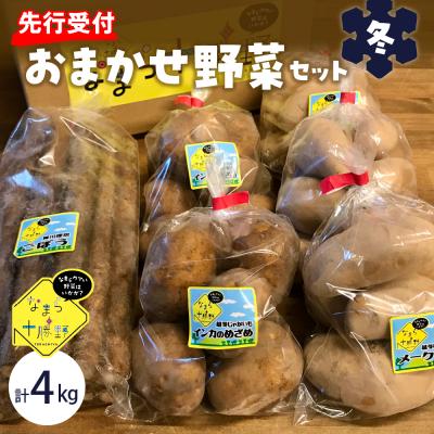 ふるさと納税 芽室町 [先行受付][2027年2月より順次発送]北海道十勝芽室町 季節のおまかせ野菜セット(冬)