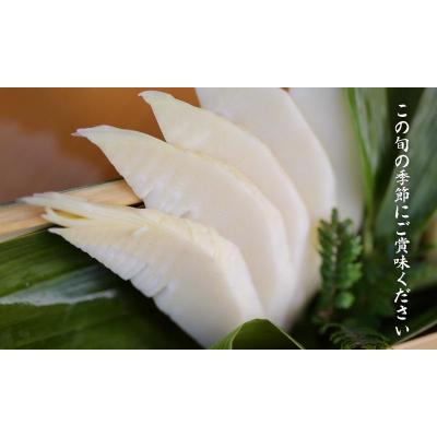 ふるさと納税 京都市 先行受付[筍農家]京都産 朝堀り湯がきたけのこ 優秀品 1KG(3-5本)皮なし