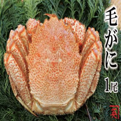 ふるさと納税 根室市 [12/21まで年内配送]★ボイル毛蟹600g〜1kg×1尾