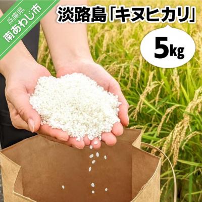 ふるさと納税 南あわじ市 [ヤマモト]淡路島産[キヌヒカリ]5キロ