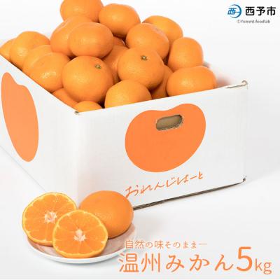 ふるさと納税 西予市 先行予約 &lt;温州みかん 約5kg&gt; 柑橘 みかん ミカン 蜜柑 果物 くだもの