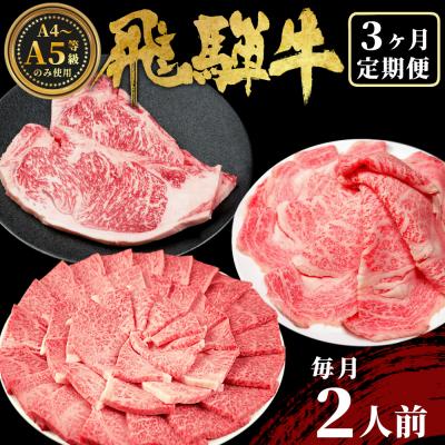 ふるさと納税 東白川村 飛騨牛 定期便 全3回 計1.1kg 2人前 すき焼き しゃぶしゃぶ ステーキ 焼肉 牛 肉 牛肉