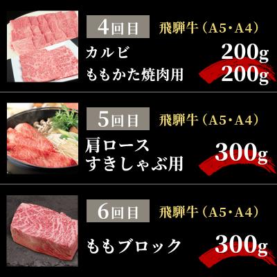 ふるさと納税 東白川村 飛騨牛 定期便 全6回 約2kg 2人前 すき焼き しゃぶしゃぶ ステーキ 焼肉 牛 肉 牛肉 |  | 02