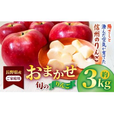 ふるさと納税 伊那市 信州高遠町産 ご家庭用 りんご 約3kg 品種おまかせ