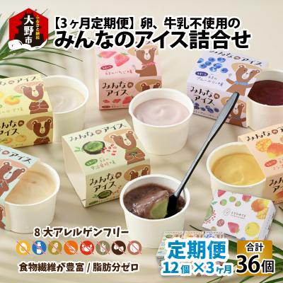 ふるさと納税 大野市 [3ヶ月定期便] みんなのアイス 12個セット ( アレルギー特定原材料8品目不使用アイス )