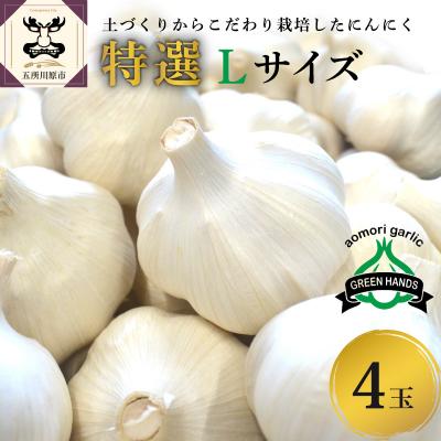 ふるさと納税 五所川原市 青森県産 にんにく (特選) Lサイズ 4玉