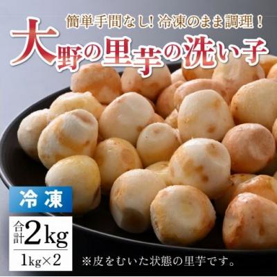 ふるさと納税 大野市 簡単手間なし!冷凍のまま調理!大野の里芋の洗い子 1kg × 2袋 計2kg (冷凍)