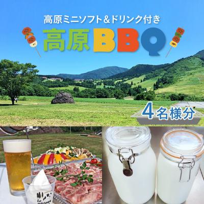 ふるさと納税 大野市 高原BBQ+高原ミニソフト&amp;ドリンク付き 4名様分[準備・炭起こし・片付け込み]