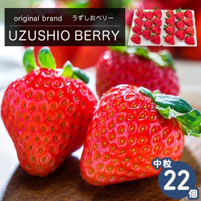 ふるさと納税 鳴門市 [先行受付12月中旬頃より順次発送]フルーツガーデンやまがたいちご「うずしおベリー」中粒22個