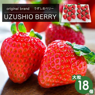 ふるさと納税 鳴門市 [先行受付12月中旬頃より順次発送]フルーツガーデンやまがたいちご「うずしおベリー」大粒18個