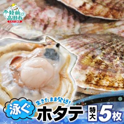 ふるさと納税 陸前高田市 生きたまま発送! 泳ぐほたて 特大サイズ5枚 ホタテ 帆立 鮮度 抜群 旬 ギフト 贈答品