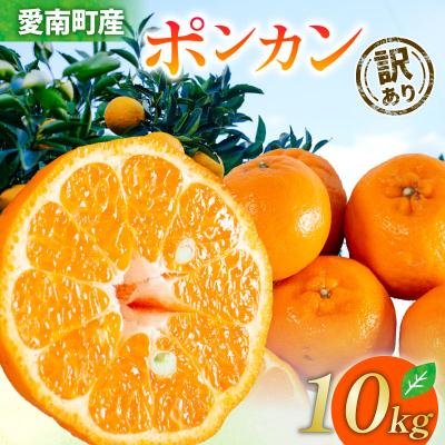 ふるさと納税 愛南町 先行受付 訳あり ポンカン 10kg ぽんかん みかん 蜜柑 柑橘 清家ばんかんビレッジ